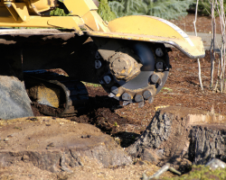 Stump Grinding &amp; Removal