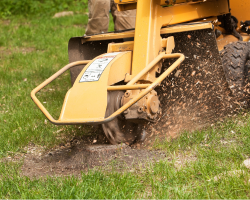 Stump Grinding