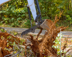 Stump Removal 