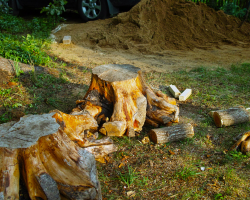 Stump Removal